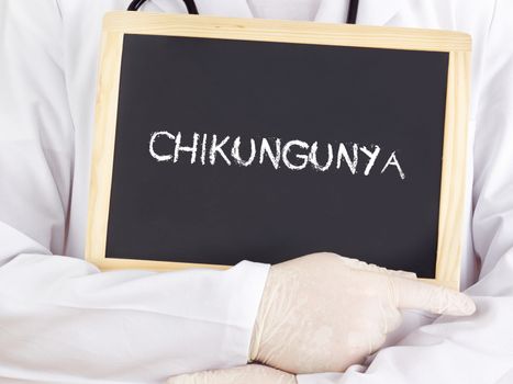 Doctor shows information on blackboard: Chikungunya