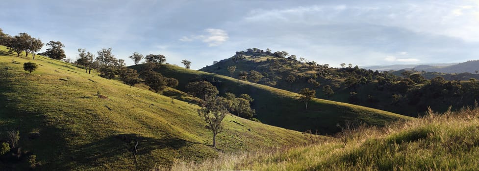 Views from Mt McDonald Wyangala in afternoon sun casting long shadows across the rippling hills