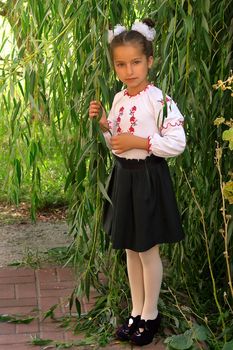 beautiful girl in the national Ukrainian costum