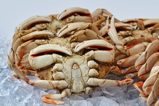 A lot of crab at a market