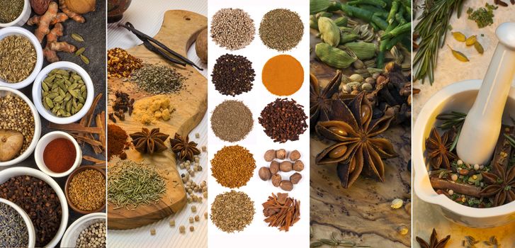 A selection spices used for flavoring and seasoning. 