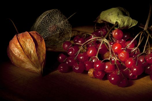 Arrowwood (Viburnum) and dried physalis lantern on cutting board, light brush still life