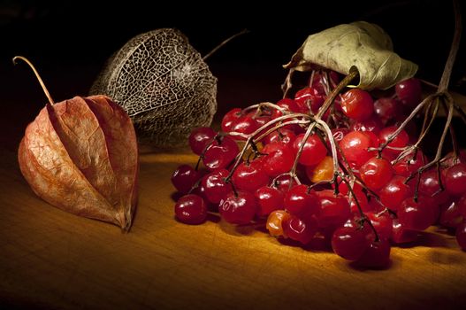 Arrowwood (Viburnum) and dried physalis lantern on cutting board, light brush still life