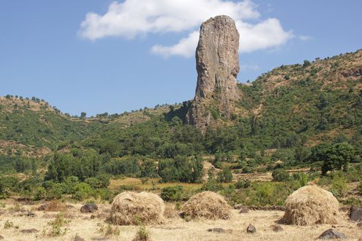 Vultures rock close to Gondar, Ethiopia, Africa