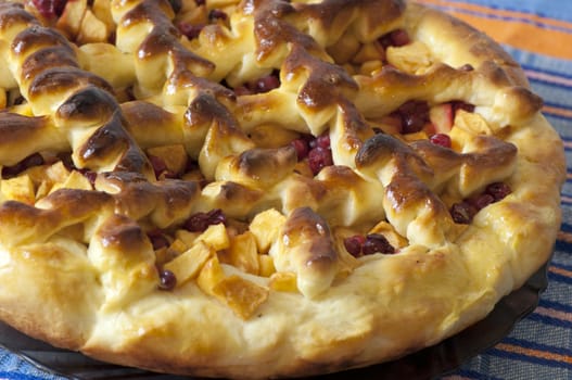 Homemade apple pie with cranberries close up