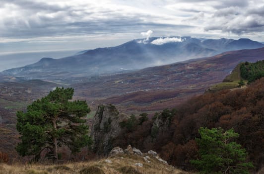autumn landscape in the mountains with lonely pine tree, clouds and fogs