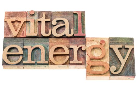 vital energy typography - isolated text in letterpress wood type blocks
