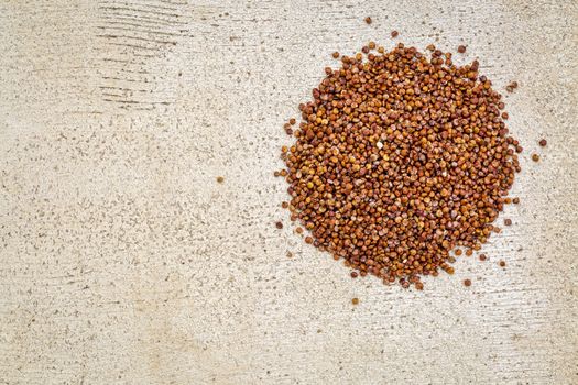 gluten free red quinoa grain - top view against rustic white painted wood