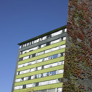 Retro apartment complex with vine wall