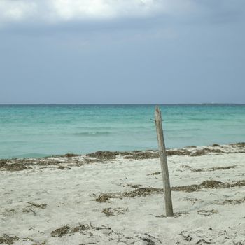 Untroubled beach and green ocean