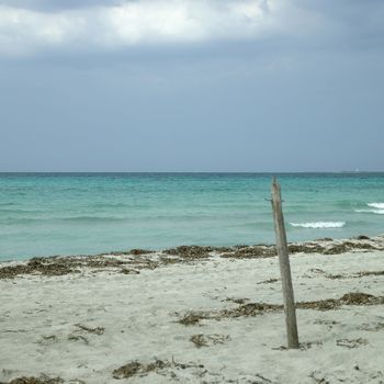 Undisturbed beach and turquoise ocean