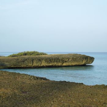 Porous sharp rocky ocean cliff