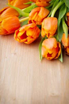 Tulips on a wooden surface. Studio photography.