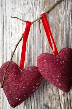 Red heart hanging on a tree branch.
