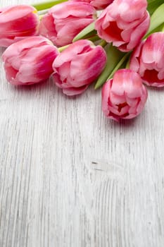 Pink tulips on the wooden background.