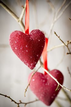 Red heart hanging on a tree branch.
