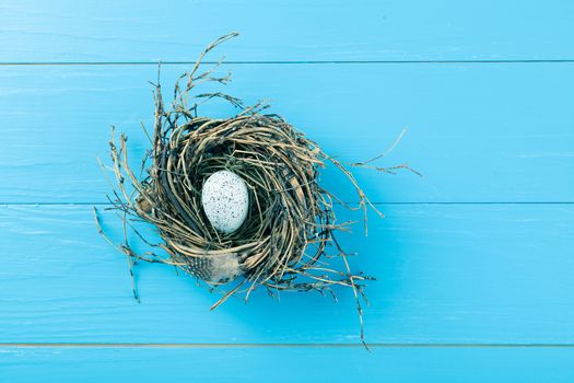 egg in nest on blue wooden background