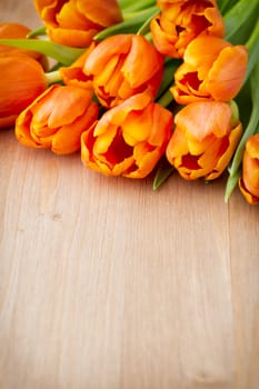 Tulips on a wooden surface. Studio photography.