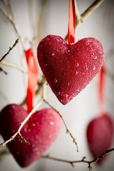 Red heart hanging on a tree branch.
