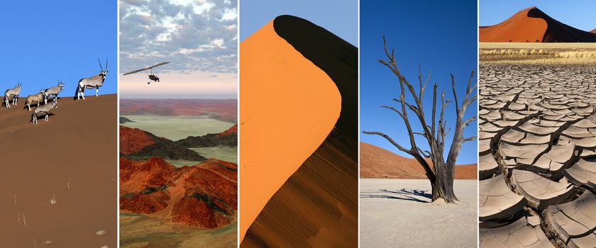 The Namib Desert in Namibia, southern Africa.