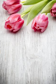 Pink tulips on the wooden background.