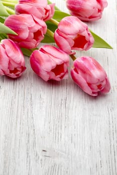 Pink tulips on the wooden background.