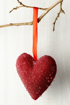 Red heart hanging on a tree branch.
