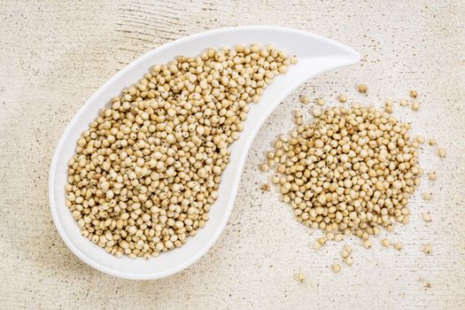 gluten free sorghum grain in a teardrop shaped bowl against white painted grunge wood, top view