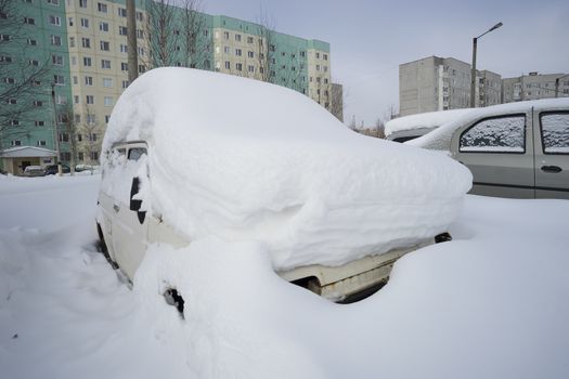 In the urban yard of an abandoned car.