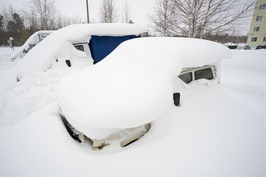In the urban yard of an abandoned car.