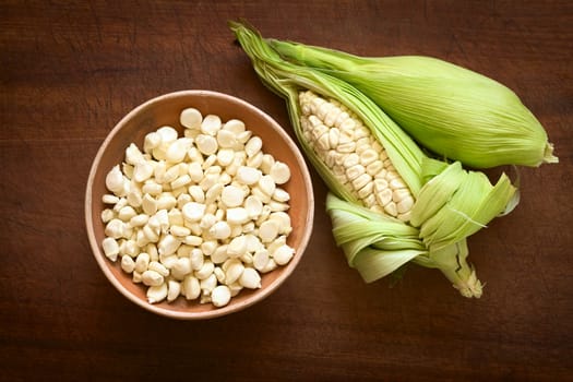 Overhead shot of kernels in bowl and cobs of white corn called Choclo (Spanish), in English Peruvian or Cuzco corn, typically found in Peru and Bolivia, photographed on wooden board with natural light