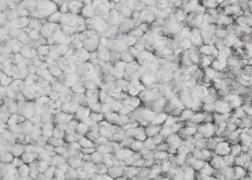 Gray wool background. Sheep skin closeup.