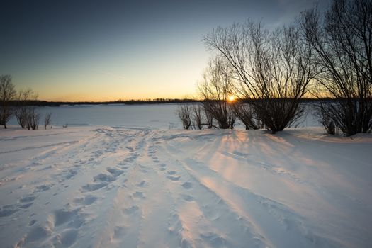 Different footprints in the snow in the rays of the setting sun.
