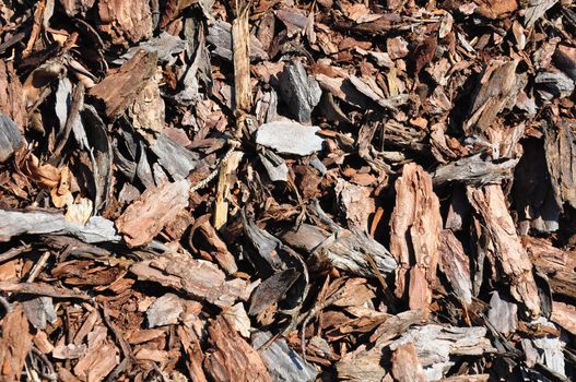 Bark mulch