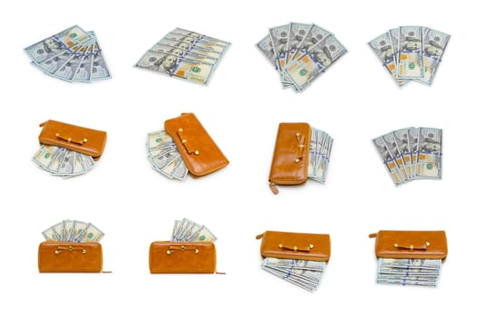 Set of a stack of dollars with leather purse isolated on a white background