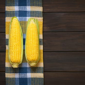 Overhead shot of husked cobs of sweet corn photographed on dish towel on dark wood with natural light