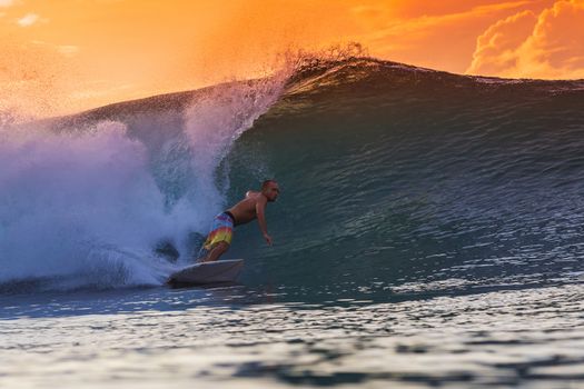 Surfer on Amazing Wave at sunset time, Bali island.