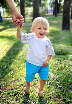 Cheerful Child hold the Parent Hand in the Summer Park