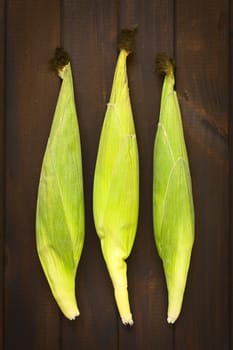 Overhead shot of cobs of sweet corn with husk photographed on dark wood with natural light