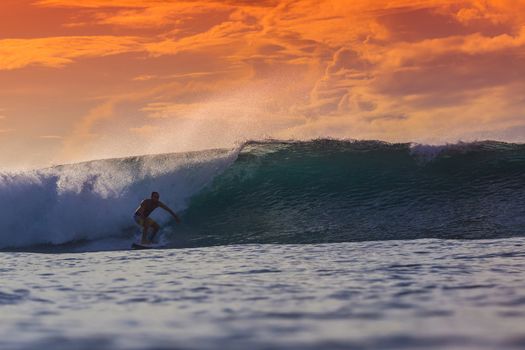 Surfer on Amazing Wave at sunset time, Bali island.