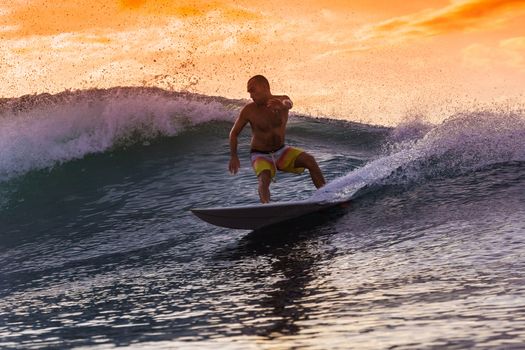 Surfer on Amazing Wave at sunset time, Bali island.