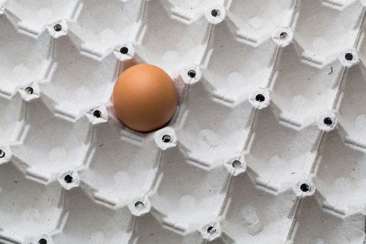 Eggs on white background