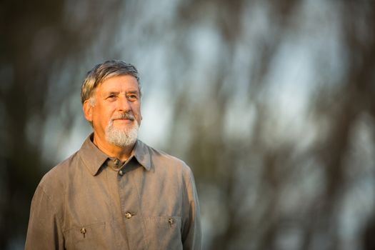 Portrait of a senior man outdoors