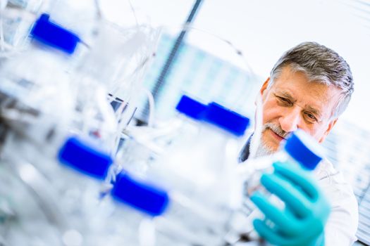 Senior male researcher carrying out scientific research in a lab (shallow DOF; color toned image)