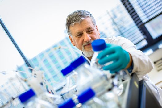 Senior male researcher carrying out scientific research in a lab (shallow DOF; color toned image)