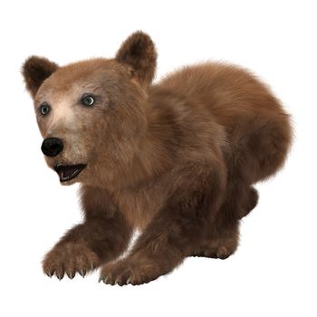 3D digital render of a cute little brown bear isolated on white background