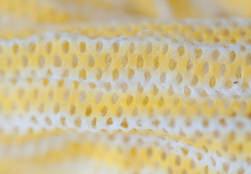 Fabric texture background. Macro image of yellow and white dishwashing rag with texture.