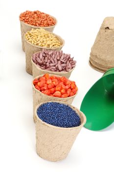 colored various sowing seed in paper pot