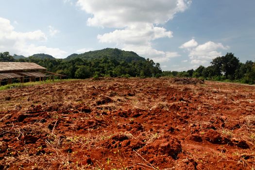 Plow land ready for cultivation in Thailand