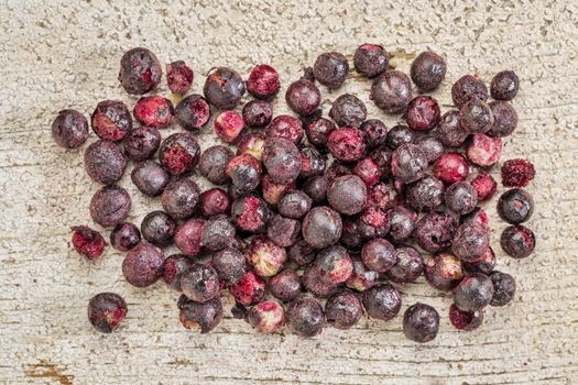 Freeze dried elderberries against rustic barn wood. Elderberries are rich in antioxidants and minerals which make them perfect in battling the common cold.